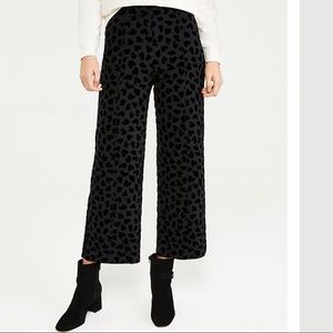Ann Taylor Petite High Waist, Wide Leg Pants